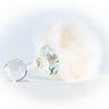 Crystal Delights Anal Plug/Tail/Accessories Crystal Delights - Classic Bunny Tail Plug, Magnetic White Faux Fur