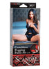 Cal Exotics Panty/Lingerie/Harness/Crotchless/Pegging Scandal - Crotchless Pegging Panty Set